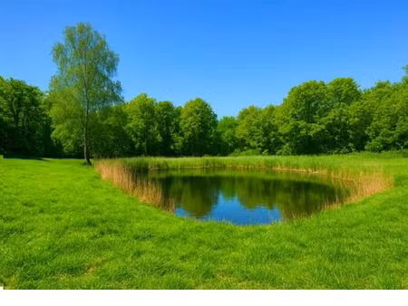 etang  terrain de loisirs
