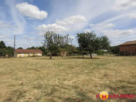 terrain constructible