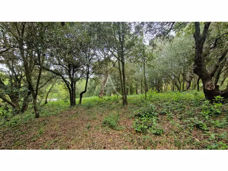 achat terrain 2 516m² palaja 11570