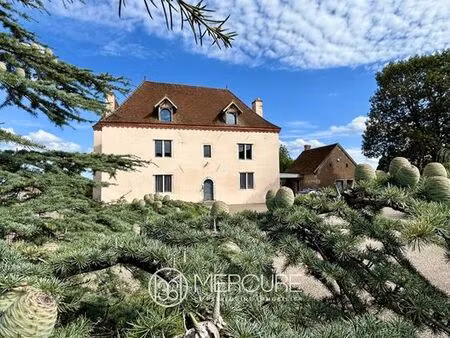 prestigieux château en vente chalon-sur-saône  bourgogne-franche-comté