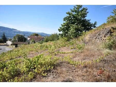terrain constructible
