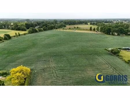 landbouwgrond te koop in wiekevorst
