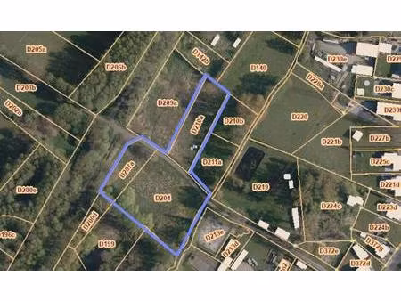 hooiland nabij natuurgebied in houthalen-helchteren