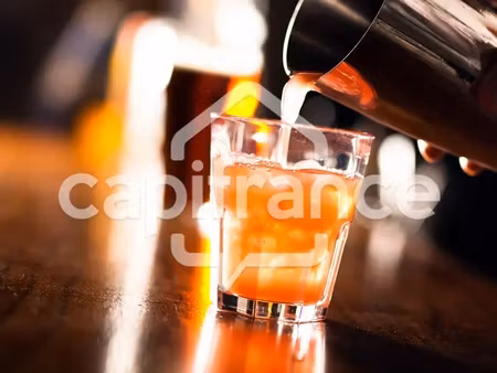 bar pur à vendre lyon 4eme arrondissement (69)