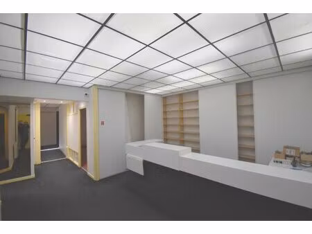 achat local professionnel 233m² montbeliard 25200