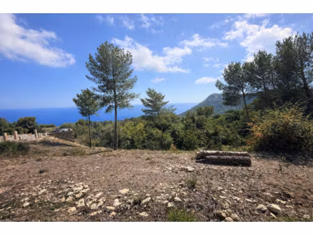 la turbie/monaco : superbe vue mer a 180° pour ce petit lotissement de 3 lots  6200 m2  ex