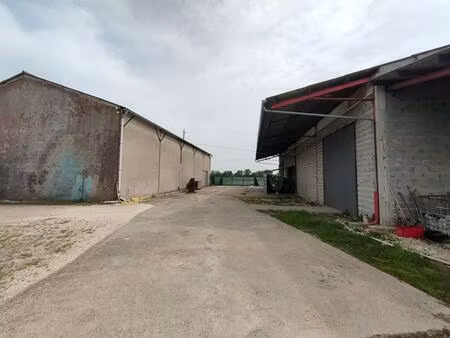 3 batiments 1000 m² pour artisans / entrepots / terrain 3000 m²