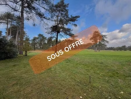 achat maison 5 pièces 117m² hardelot plage 62152