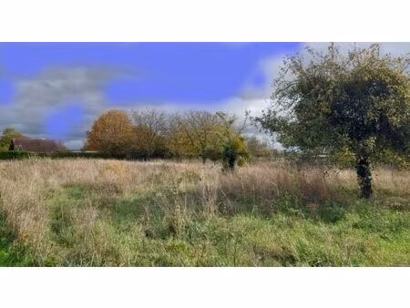 annonce vente terrain terrain de 2043m2 à égreville (77620) - paruvendu.fr ref 99278436299