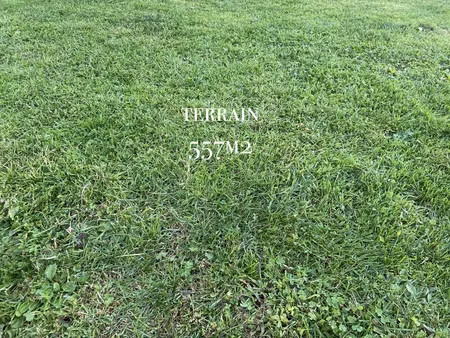 terrain - 557 m²
