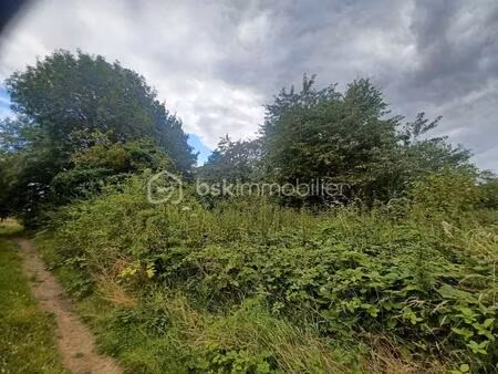 parcelle de bois au calme
