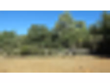 vente terrain neuf 3100m2 saint-maximin-la-sainte-baume - 285000 € - surface privée