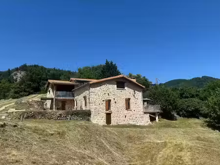 vente propriété 9 pièces 243 m² à saint-jean-roure (07160)  525 000 €