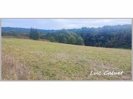 à vendre - le born (31) terrain constructible de 1970 m² prix : 55000 €