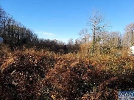 vente terrain à sers (16410) : à vendre / sers