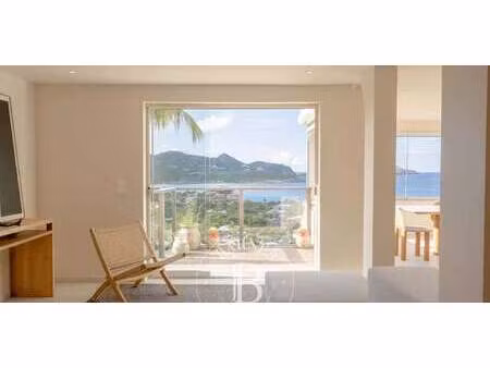 appartement saint-barthélemy (971)