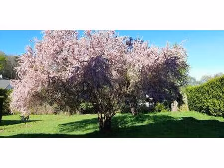 vente terrain à chantepie (35135) : à vendre / chantepie