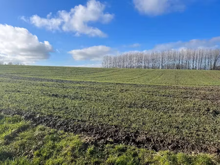 vente terrain 987 m² à divion (62460)  39 000 €