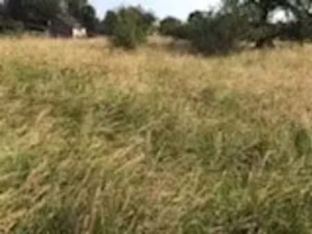 vente terrain 850 m² à fère-en-tardenois (02130)  42 000 €