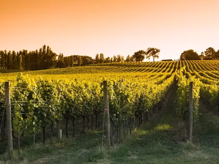 vente terrain 1280 m² à merignac (17210)  28 000 €