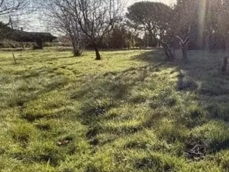 vente terrain 800 m² à saint-sauveur (86100)  34 000 €