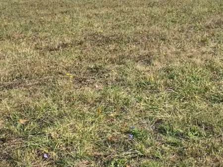 vente terrain 600 m² à naintre (86530)  34 000 €