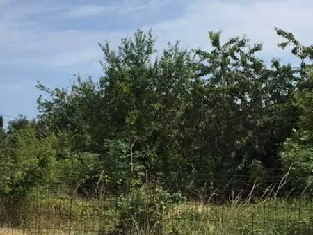 vente terrain 628 m² à vendeuvre-du-poitou (86380)  39 850 €