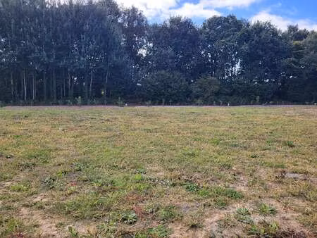 vente terrain à saint-samson-sur-rance (22100) : à vendre / saint-samson-sur-rance