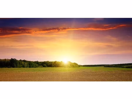 vente terrain 1995 m² à beuvardes (02130)  70 000 €