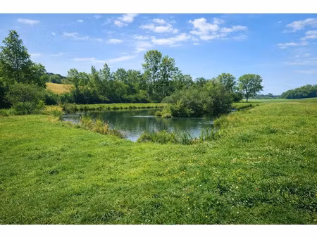 vente terrain 8080 m² à muret-et-crouttes (02210)  56 000 €