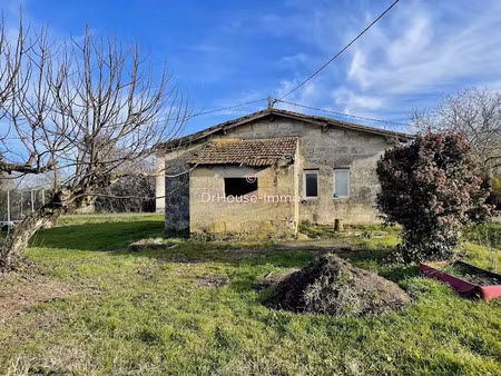 vente terrain 64 m² à saint-pey-de-castets (33350)  52 000 €