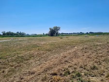 vente terrain 1048 m² à labets-biscay (64120)  65 000 €