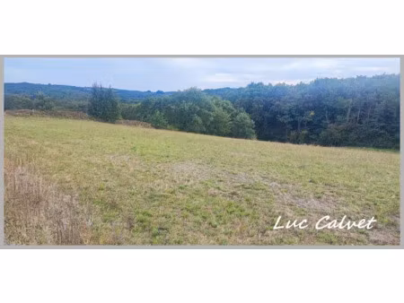 vente terrain 1970 m² à le born (31340)  55 000 €