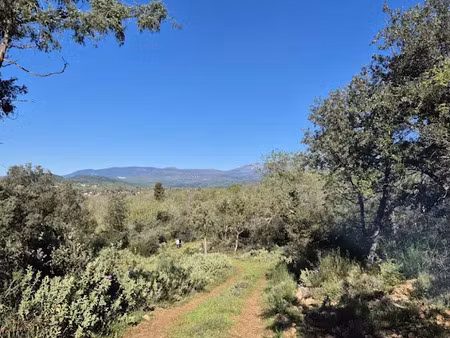 vente terrain 6717 m² à saint-cézaire-sur-siagne (06530)  143 000 €