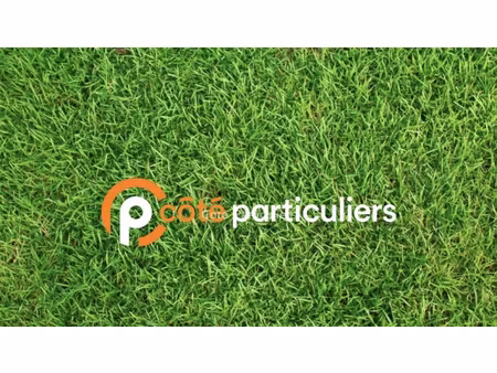 vente terrain 1000 m² à willems (59780)  230 000 €