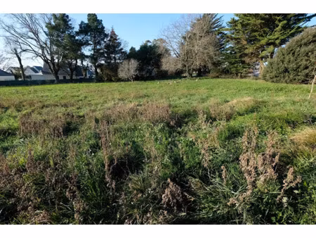 vente terrain 1151 m² à sarzeau (56370)  367 500 €