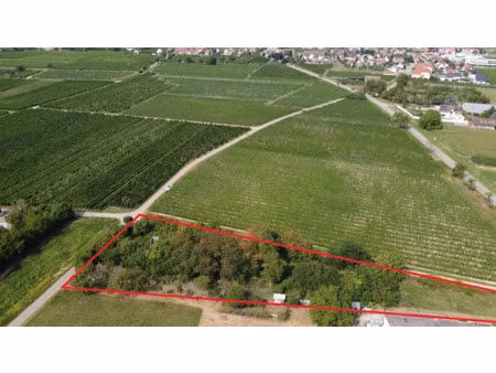 vente terrain à batir 3310 m² à bergheim (68750)  157 450 €