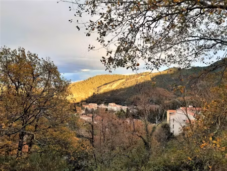 vente terrain 1199 m² à amélie-les-bains-palalda (66110)  184 000 €