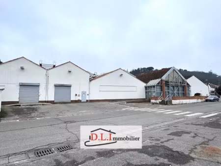 vente locaux professionnels 1400 m² à moissac (82200)  850 000 €