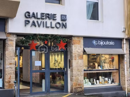 vente locaux professionnels à auray (56400)  77 000 €