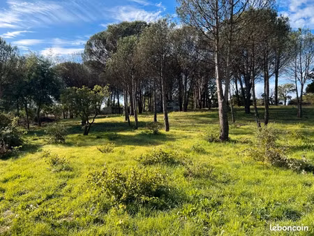 vente terrain 1413 m² à grimaud (83310)  600 000 €