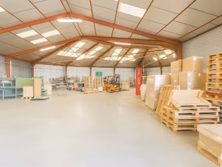 vente locaux professionnels 1750 m² à pins-justaret (31860)  1 500 000 €