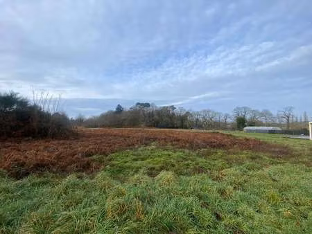 vente terrain à caudan (56850) : à vendre / caudan