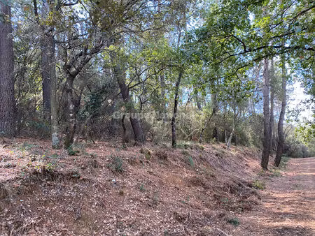 exclusivite - le muy - terrrains non constructibles