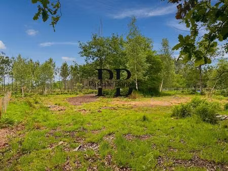 vendays montalivet - terrain 2327m2 avec hangar agricole