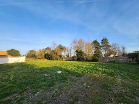 vente terrain à notre-dame-de-riez (85270) : à vendre / notre-dame-de-riez