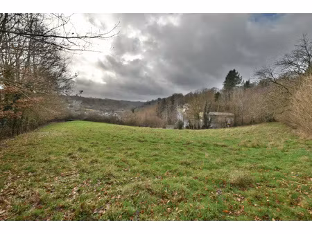 achat terrain 2 958m² vigeois 19410