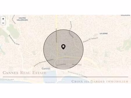 appartement de prestige en vente cannes  france