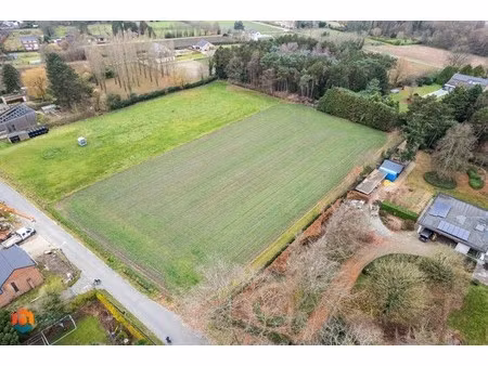 grond te koop in beerzel