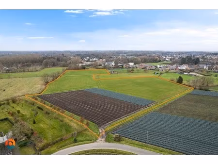 grond te koop in beerzel